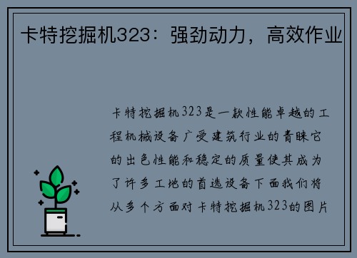 卡特挖掘机323：强劲动力，高效作业