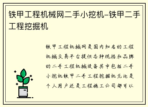 铁甲工程机械网二手小挖机-铁甲二手工程挖掘机